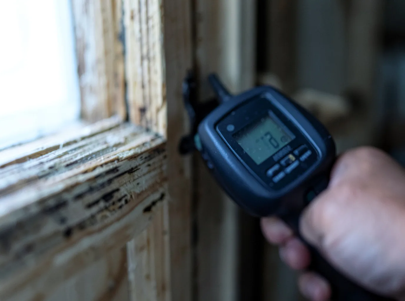Commercial Water Damage Restoration in Mount Calm, TX